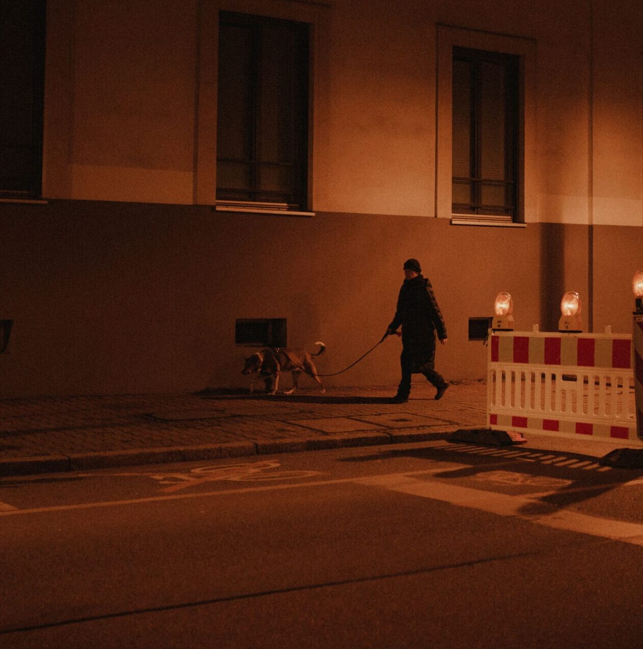 A person walking their dog on a quiet street at night under streetlights.